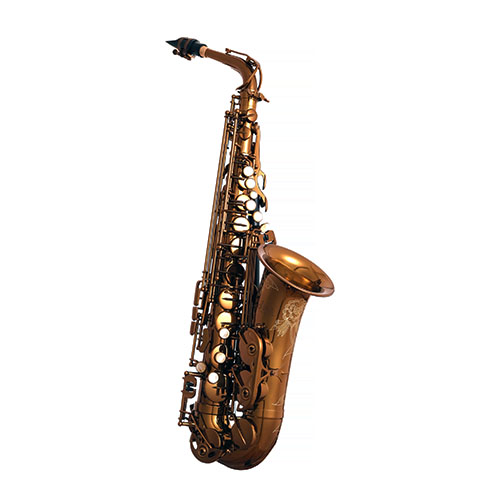 CAS-500G